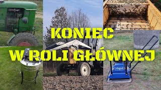 KONIEC W ROLI GŁÓWNEJ! Dzięki, że byliście.