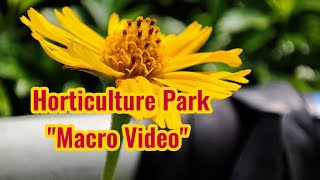 Horticulture Park - Macro Video || Caught Using Mi 11X || #park #horticulture #flowers #macro