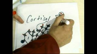 Cortisol Steroid Ring Quick Draw Schroeder Diamonds JAN2011