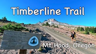 Solo Backpacking Timberline Trail - Mt Hood, Oregon - Timberline Lodge to Top Spur - PCT Section