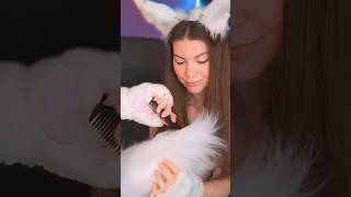 just a cat combing #асмр #asmr #shots #asmrvideos Asmr асмр