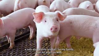 Protecting Animal and Human Health Starts in the Barn