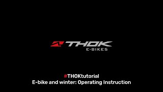 E-Bikes and winter: operating instructions.