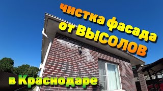 Удаление высолов на кирпиче в Краснодаре