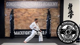 KYOKUSHIN KARATE TAIKYOKU SONO ICHI