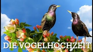 Vogelhochzeit - Deutsches Volkslied aus dem Spätmittelalter - Frühlingslied - OLD GERMAN FOLK SONG