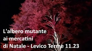 L albero mutante ai mercatini di Natale di Levico Terme nov 23