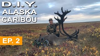 BOW HUNTING ALASKA | Barren Ground Caribou EP. 2