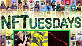 Logan Paul's NFT Is Down 99.3%, So Let's Look At Its Terms & Conditions... #0n1force #NFTuesday