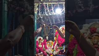 சங்கரநாராயண சுவாமி திருக்கோயில் - ஐப்பசி திருக்கல்யாணம் #sankaranararyanatemple