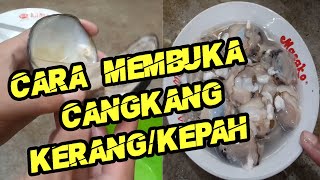 CARA EFEKTIF MEMBUKA CANGKANG KERANG/KEPAH // TANPA RIBET, MUDAH, DAN CEPAT // SEAFOOD // HASIL LAUT