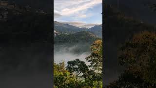 #munnar #munnarvlog #munnarvibes #hills #kerala #keralatourism #clouds #mist #nature