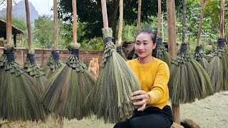 Harvest chit trees & dry them | How to make a broom from chit goes to the market sell | Ly Thi Tam