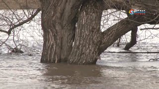 Большая вода пришла в Киржач. Такого половодья не было больше десяти лет