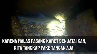 Nyelam ikan