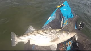 Early Season Raritan Bay Striped Bass Kayak Fishing