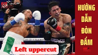 Hướng dẫn Kỹ Thuật Boxing Đòn Đấm Số 5 | Left Uppercut Technique