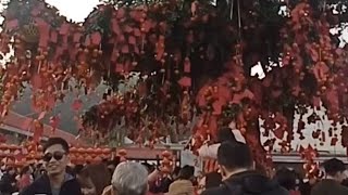 Wishing Tree nila sa HongKong  😍