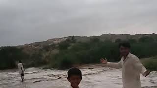 Heavy Rain Tharparkar