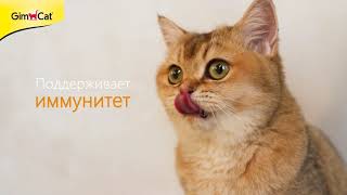 GimCat сырные ролики