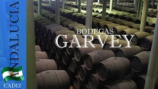 Visita a las Bodegas Garvey | Cadiz #5