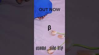 New ambient track from OSOMO. Go listen! #Osomo #SideTrip #electronic #music #Shorts #Spotify