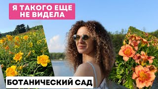 Уличная ярмарка / Страшный ураган / Море цветов