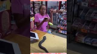 Snake Prank on Customers | #tiktok #viral #fazerug