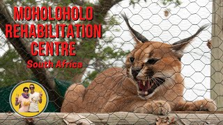 Moholoholo Animal Rehabilitation Centre, South Africa, Hoedespruit #wildlife