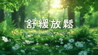 【100% 無廣告 - 輕音樂 放鬆 】清晨滲透到靈魂的寧靜 ♫♫♫ 舒緩放鬆的輕音樂療癒放鬆，舒緩舒緩，純淨動聽，早上最適合聽的，深度睡眠