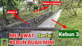 MELAWAT KEBUN BUAH MINI III