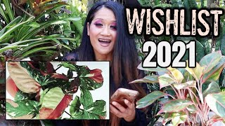 Wishlist Plants 2021 - Tips & Hacks Get More Plants, Collective Houseplants & Aroids, Foliage