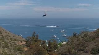 Catalina Zip Line Eco Tour