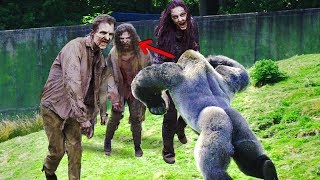 Animals Vs. Zombies: Who Can Win??