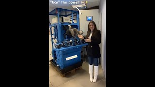 Women in Tech Instagram Takeover-Inna Braverman-Eco Wave Power