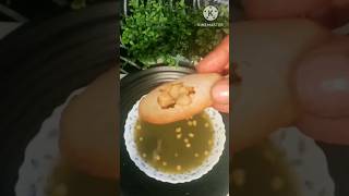 golgappe # 😍😋# shorts # YouTube shorts# viral # pani puri