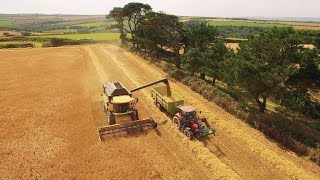 Harvest time