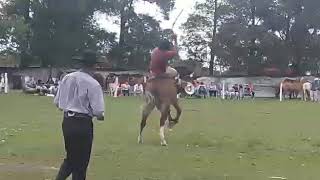 Kevin diaz vs el come hombre de zufieurri predio el relincho