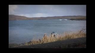 Winter Solstice, Shetland, 2016