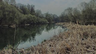 Никита Каяцкий Вторая песня Алёши Поповича из оперы "Добрыня Никитич"