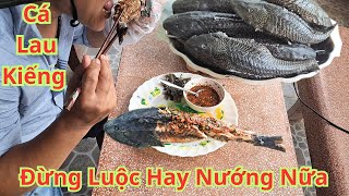 Cá Lau Kiếng Đừng Luộc Hay Nướng Nữa Hãy Làm Ngay Món Này Ngon Như Thịt Gà Ai Cũng Mê