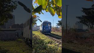 DA 832 "Fluieroasa" cu un concert de goarne pleacă cu trenul 4546. #locomotiva #train #trenuri #fy