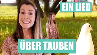 Tauben - Bina Bianca