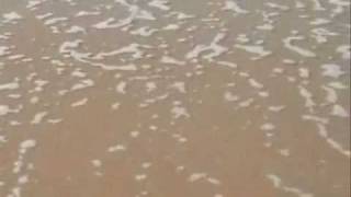 Desert Storm 2009: Chasing a sea crab at a virgin sea beach