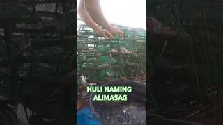 HULI NAMING ALIMASAG#shorts