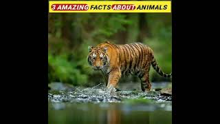 3 amazing facts about animals in hindi #youtubeshorts #facts #factshorts #subscribe #short #shorts