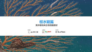 樹水螅篇｜海洋棲地與生物微觀教材 ft. 海保署、基隆市政府