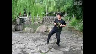 Pan Nam Wing Chun 彭南咏春 - Core Forms