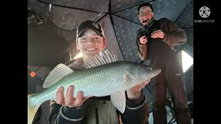 Late walleye fishing on lake Winnipeg!!