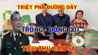 Tin tức nhanh và chính xác ngày 13/5/2023 Tin nóng việt nam mới nhất hôm nay | #NóngPlus